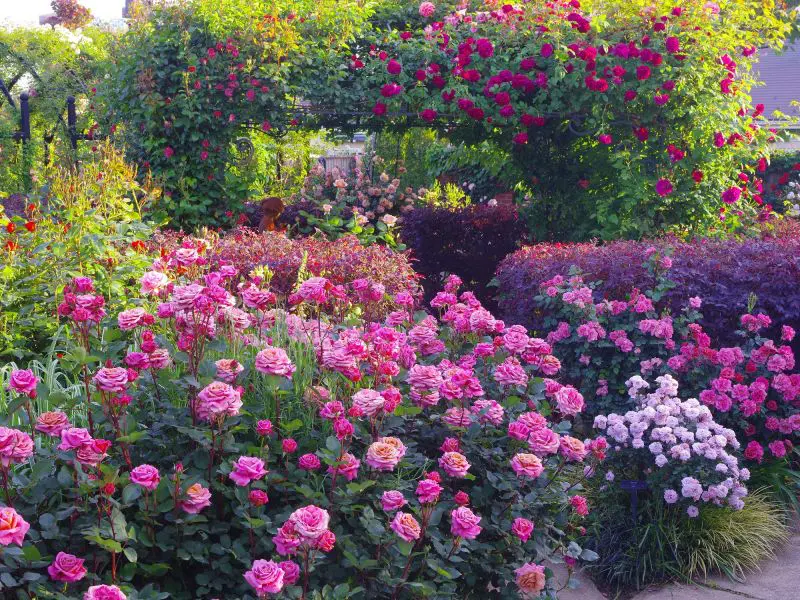 案内図 – 横浜イングリッシュガーデン公式サイト 