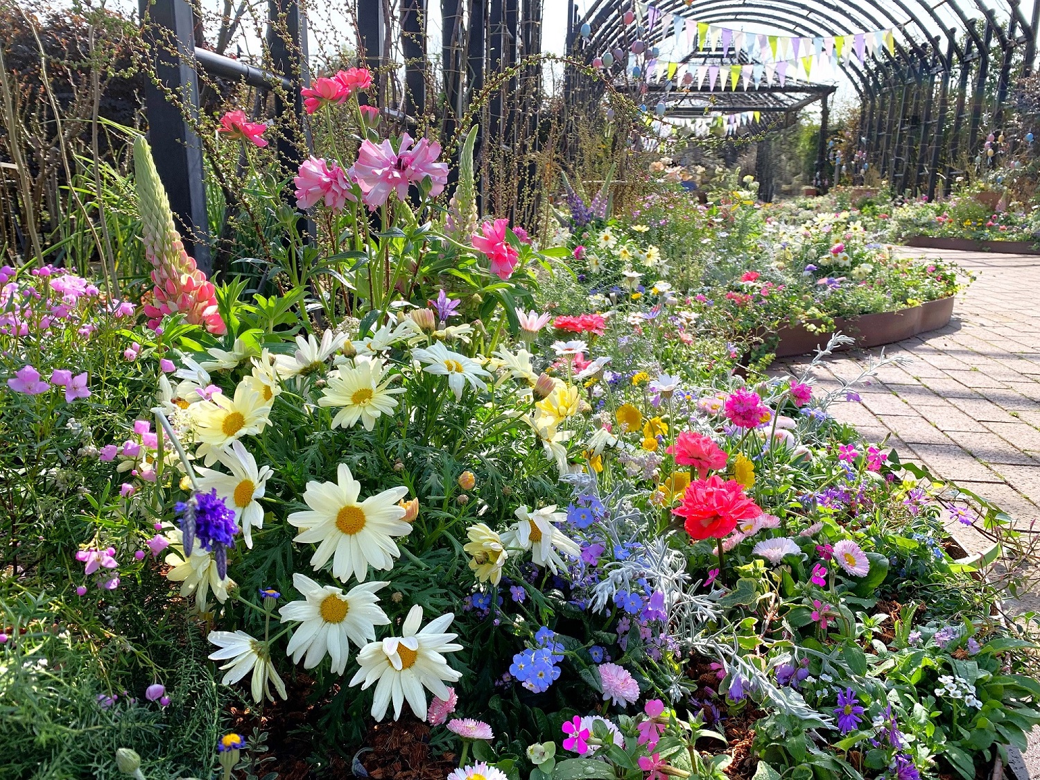garden 横浜イングリッシュガーデン公式サイト – 横浜市の花である「バラ」を基調に横浜で楽しむことの出来る園芸文化の薫る庭づくり。